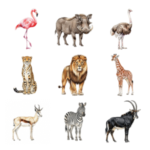 Safari Watercolor Animals Clipart